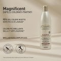 IL SALONE MILANO MAGNIFICENT SHAMPOO 500ML / 16.90 Fl.Oz
